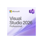 Visual Studio Professional 2026 1 PC